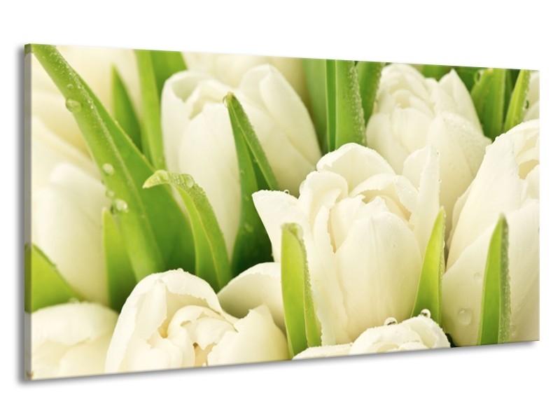 Canvas schilderij Tulpen | Wit, Groen | 190x100cm 1Luik
