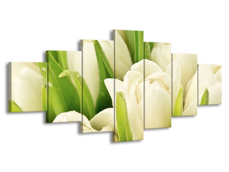 Canvas schilderij Tulpen | Wit, Groen | 210x100cm 7Luik