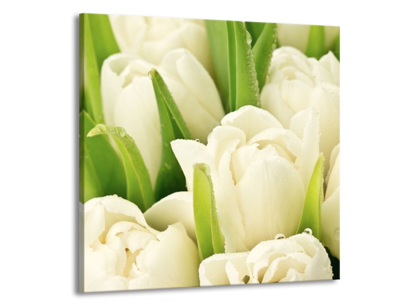 Canvas schilderij Tulpen | Wit, Groen | 70x70cm 1Luik