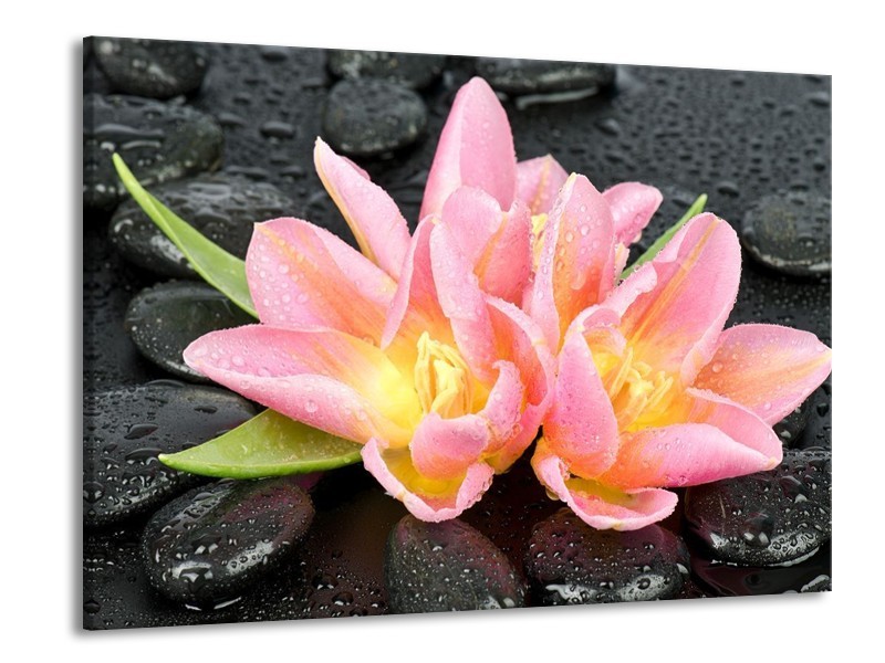 Canvas schilderij Lelie | Roze, Zwart | 100x70cm 1Luik