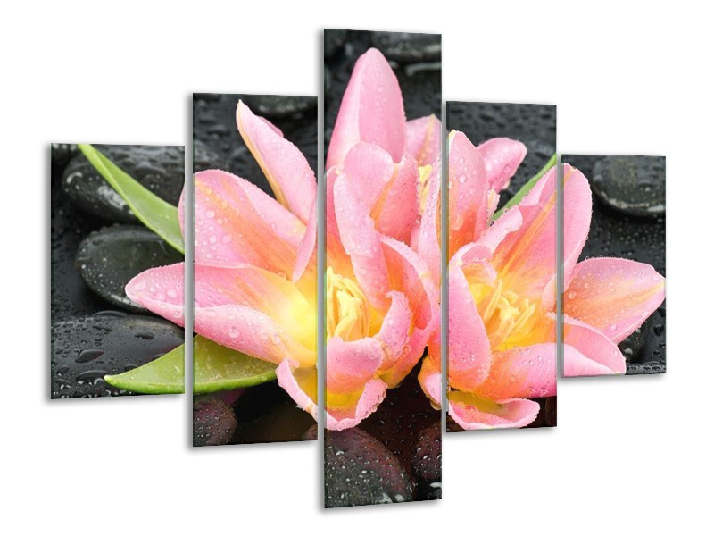Canvas schilderij Lelie | Roze, Zwart | 100x70cm 5Luik