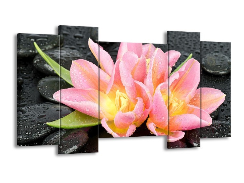 Canvas schilderij Lelie | Roze, Zwart | 120x65 5Luik