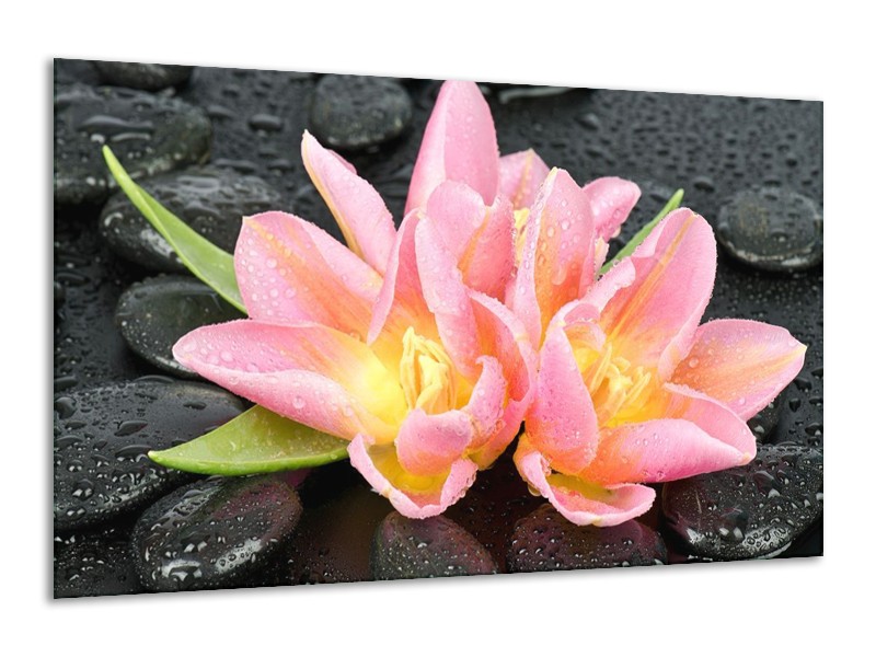 Canvas schilderij Lelie | Roze, Zwart | 120x70cm 1Luik