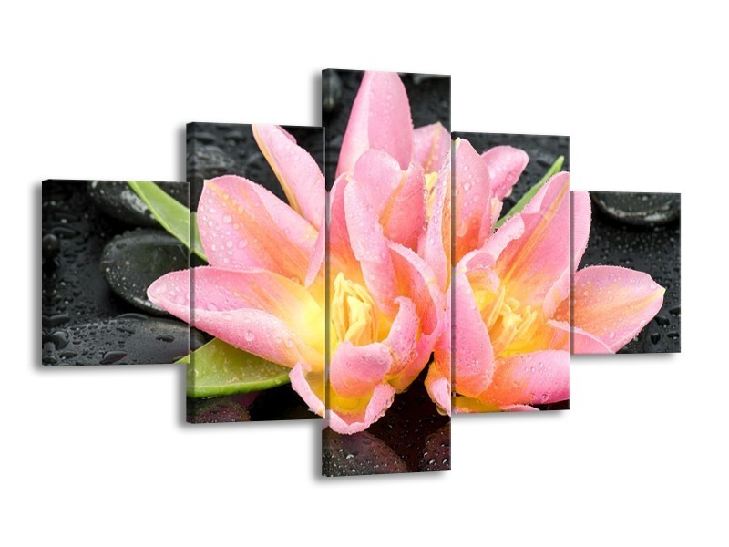 Canvas schilderij Lelie | Roze, Zwart | 125x70cm 5Luik