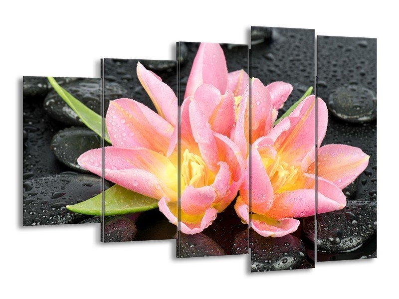 Canvas schilderij Lelie | Roze, Zwart | 150x100cm 5Luik