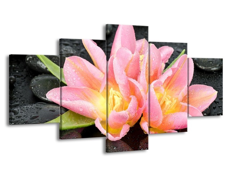 Canvas schilderij Lelie | Roze, Zwart | 150x80cm 5Luik