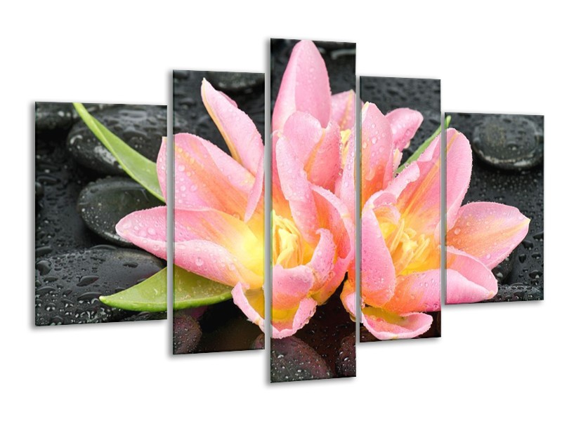 Canvas schilderij Lelie | Roze, Zwart | 170x100cm 5Luik