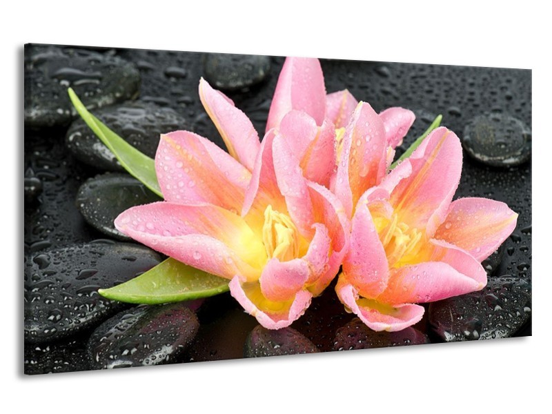 Canvas schilderij Lelie | Roze, Zwart | 190x100cm 1Luik