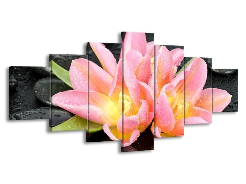 Canvas schilderij Lelie | Roze, Zwart | 210x100cm 7Luik