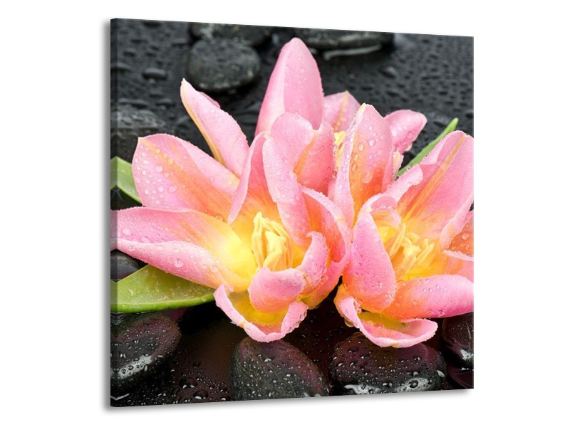 Canvas schilderij Lelie | Roze, Zwart | 50x50cm 1Luik