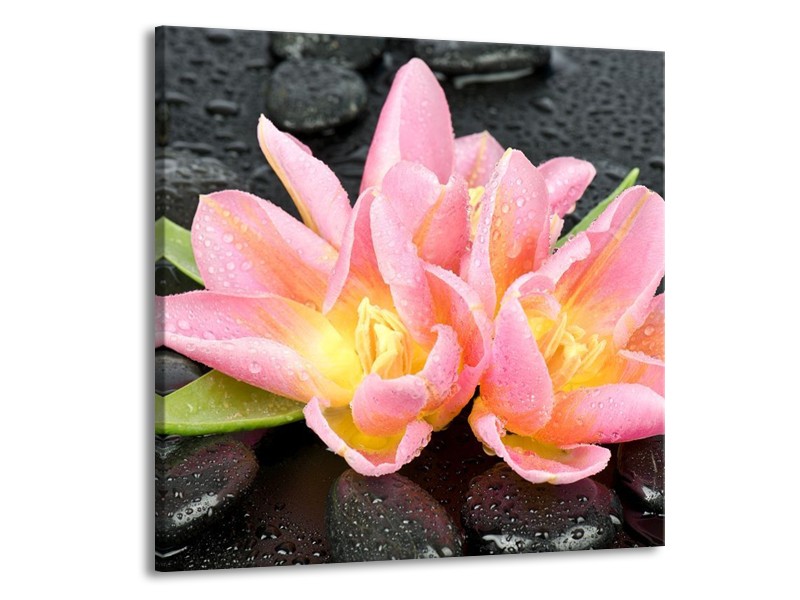 Canvas schilderij Lelie | Roze, Zwart | 70x70cm 1Luik