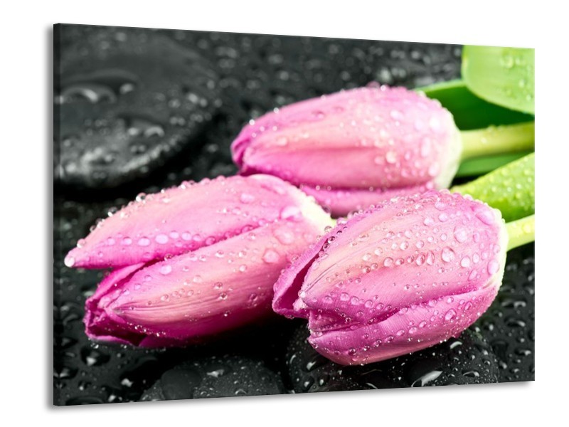 Canvas schilderij Tulpen | Roze, Zwart | 100x70cm 1Luik