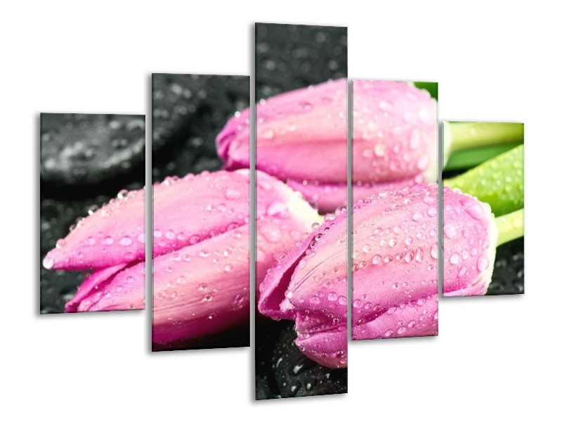 Canvas schilderij Tulpen | Roze, Zwart | 100x70cm 5Luik