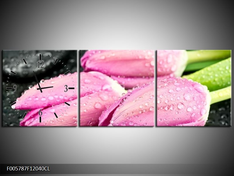 Klok schilderij Tulpen | Roze, Zwart | 120x40cm 3Luik