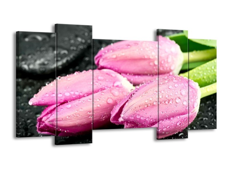 Canvas schilderij Tulpen | Roze, Zwart | 120x65 5Luik