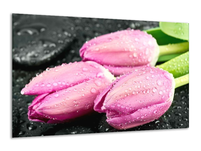 Canvas schilderij Tulpen | Roze, Zwart | 120x70cm 1Luik