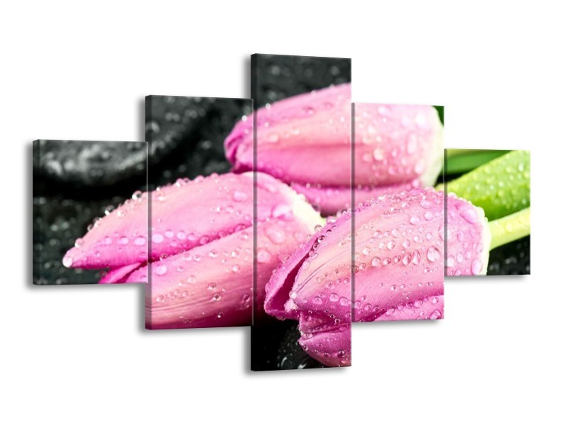 Canvas schilderij Tulpen | Roze, Zwart | 125x70cm 5Luik