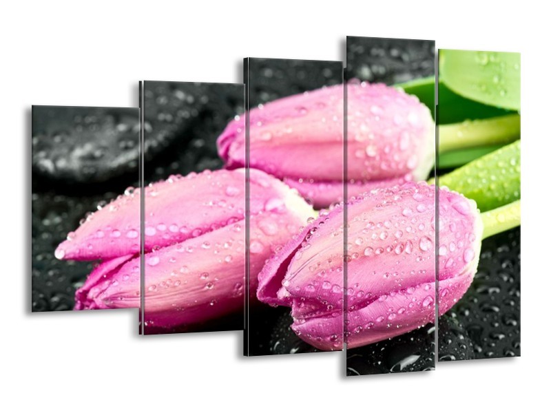 Canvas schilderij Tulpen | Roze, Zwart | 150x100cm 5Luik