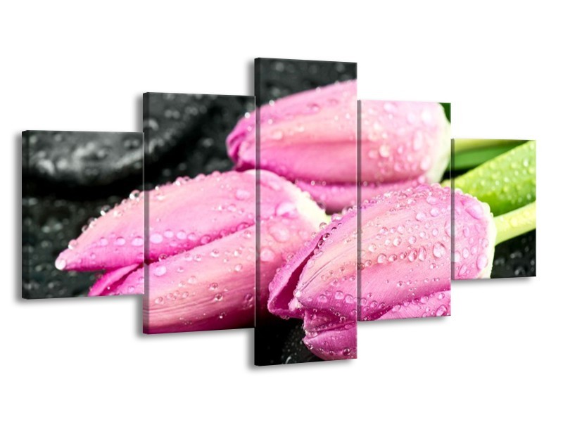 Canvas schilderij Tulpen | Roze, Zwart | 150x80cm 5Luik