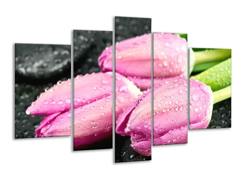 Canvas schilderij Tulpen | Roze, Zwart | 170x100cm 5Luik