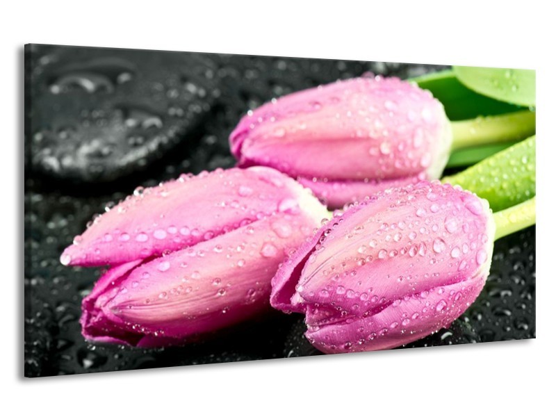 Canvas schilderij Tulpen | Roze, Zwart | 190x100cm 1Luik
