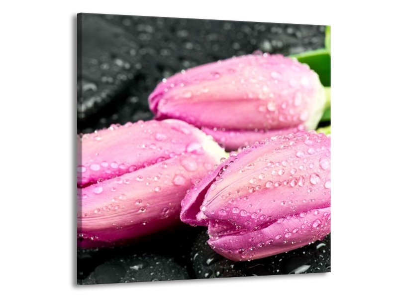 Canvas schilderij Tulpen | Roze, Zwart | 50x50cm 1Luik