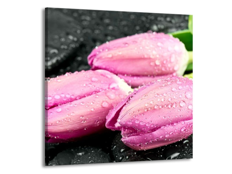 Canvas schilderij Tulpen | Roze, Zwart | 70x70cm 1Luik