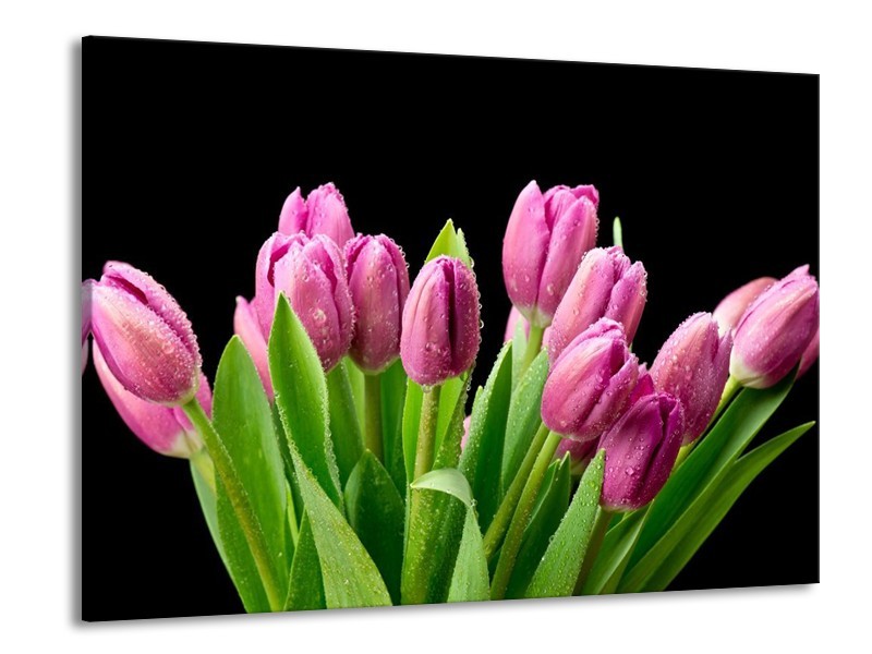 Canvas schilderij Tulpen | Roze, Zwart, Groen | 100x70cm 1Luik