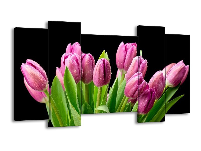 Canvas schilderij Tulpen | Roze, Zwart, Groen | 120x65 5Luik