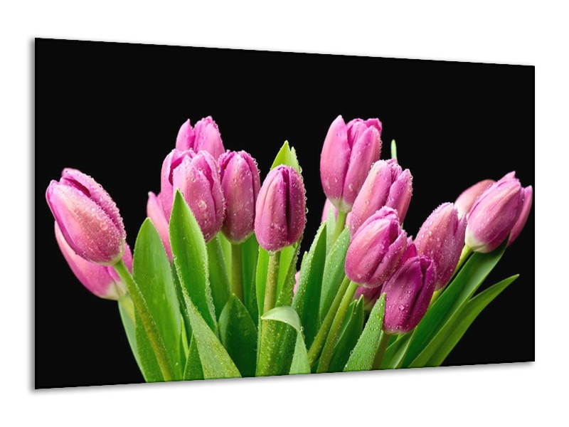 Canvas schilderij Tulpen | Roze, Zwart, Groen | 120x70cm 1Luik