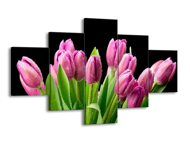 Canvas schilderij Tulpen | Roze, Zwart, Groen | 125x70cm 5Luik