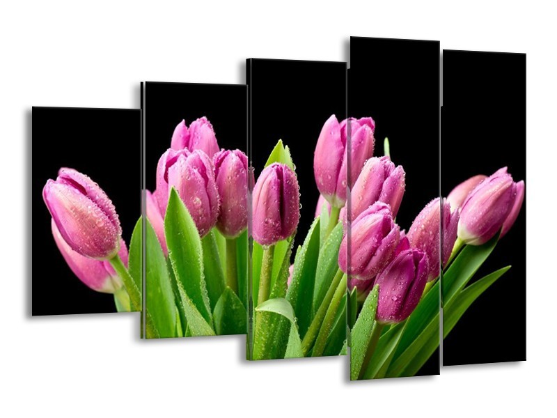 Canvas schilderij Tulpen | Roze, Zwart, Groen | 150x100cm 5Luik