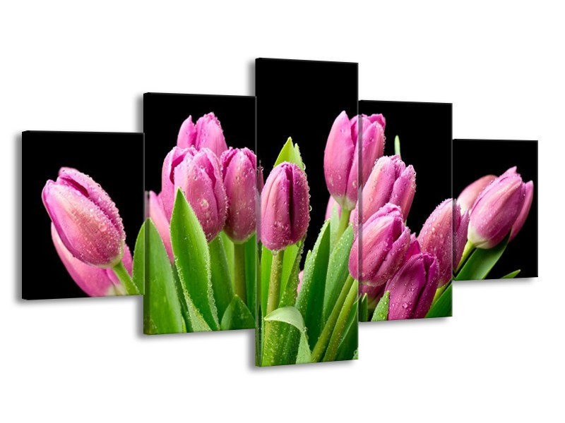 Canvas schilderij Tulpen | Roze, Zwart, Groen | 150x80cm 5Luik