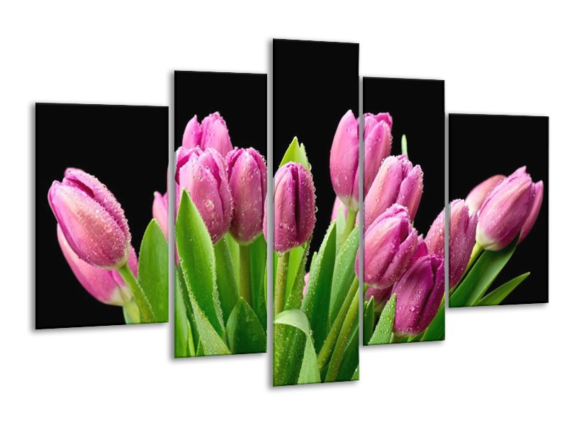 Canvas schilderij Tulpen | Roze, Zwart, Groen | 170x100cm 5Luik