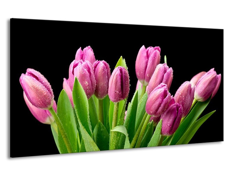 Canvas schilderij Tulpen | Roze, Zwart, Groen | 190x100cm 1Luik