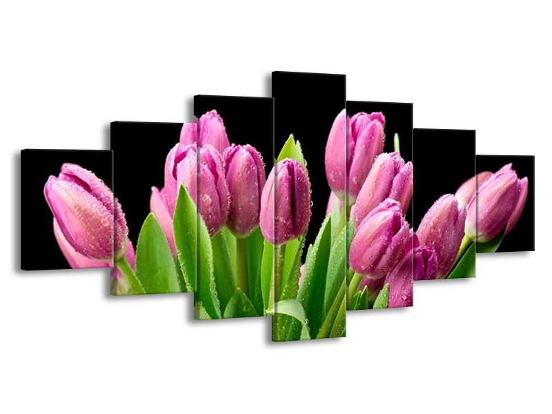 Glas schilderij Tulpen | Roze, Zwart, Groen | 210x100cm 7Luik