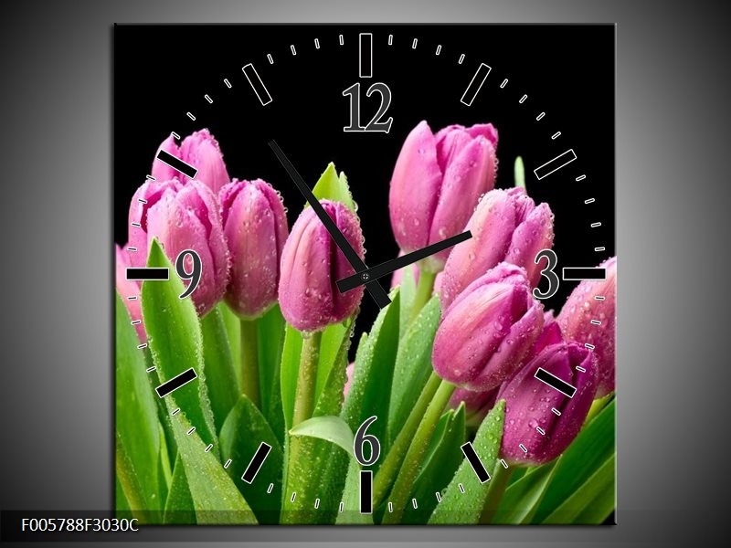 Klok schilderij Tulpen | Roze, Zwart, Groen | 30x30cm 1Luik