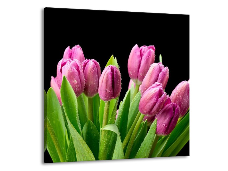 Canvas schilderij Tulpen | Roze, Zwart, Groen | 50x50cm 1Luik