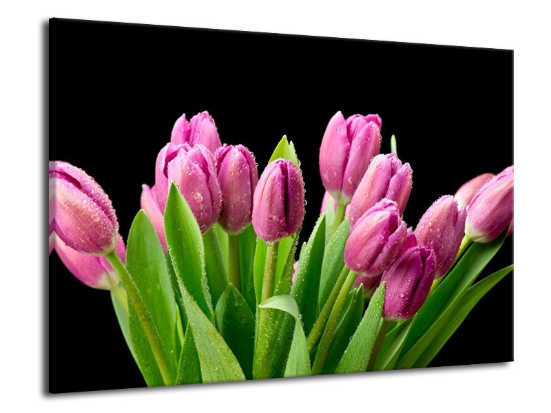 Canvas schilderij Tulpen | Roze, Zwart, Groen | 70x50cm 1Luik