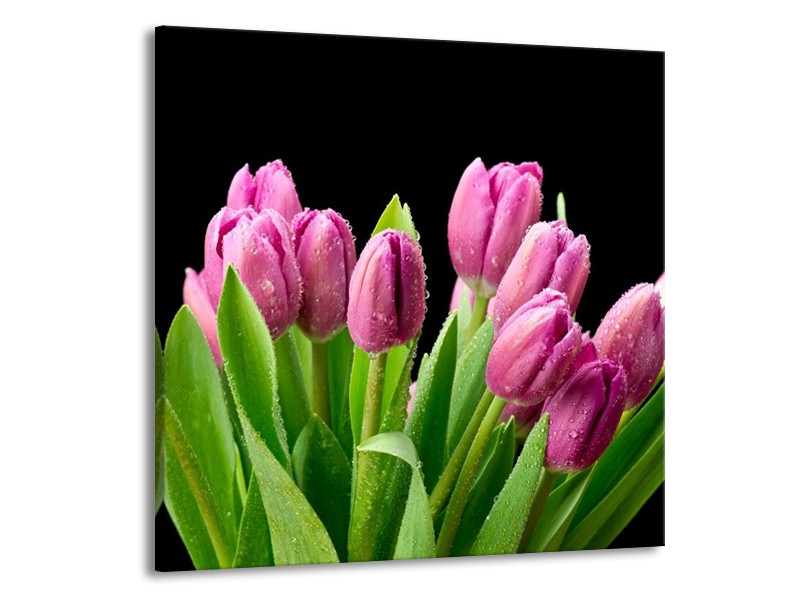 Canvas schilderij Tulpen | Roze, Zwart, Groen | 70x70cm 1Luik
