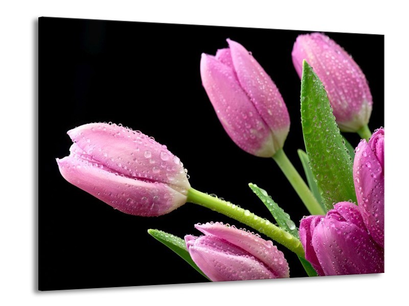 Canvas schilderij Tulpen | Roze, Zwart, Groen | 100x70cm 1Luik