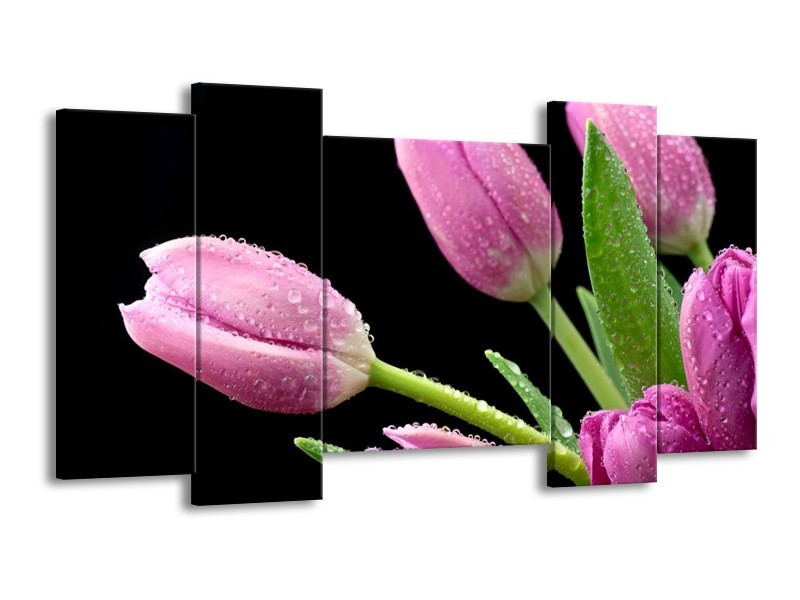 Canvas schilderij Tulpen | Roze, Zwart, Groen | 120x65 5Luik