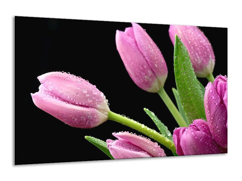 Canvas schilderij Tulpen | Roze, Zwart, Groen | 120x70cm 1Luik