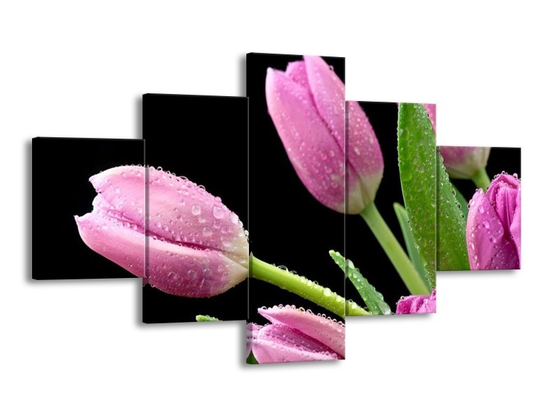 Canvas schilderij Tulpen | Roze, Zwart, Groen | 125x70cm 5Luik