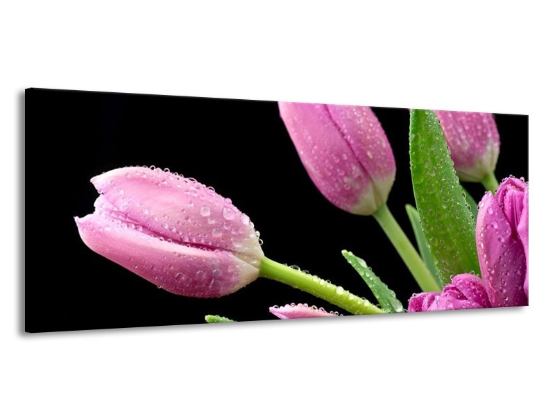 Canvas schilderij Tulpen | Roze, Zwart, Groen | 145x58cm 1Luik