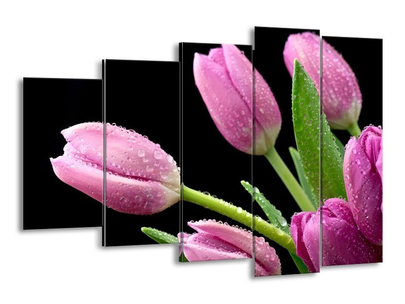 Canvas schilderij Tulpen | Roze, Zwart, Groen | 150x100cm 5Luik