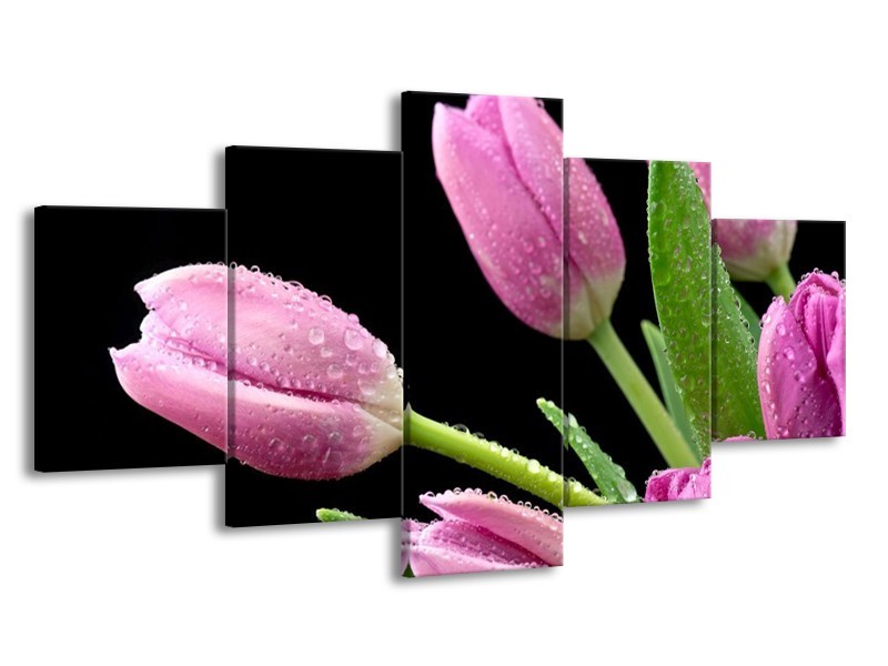 Canvas schilderij Tulpen | Roze, Zwart, Groen | 150x80cm 5Luik