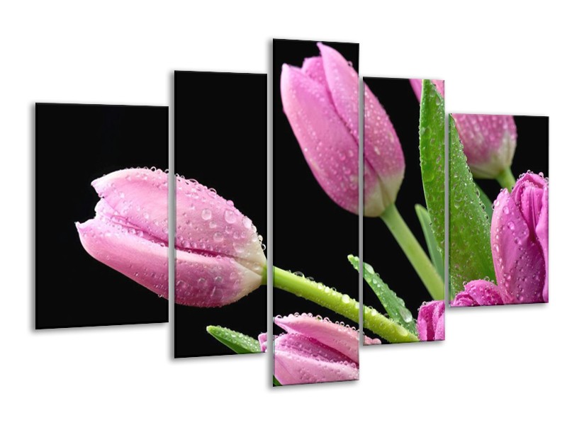 Canvas schilderij Tulpen | Roze, Zwart, Groen | 170x100cm 5Luik
