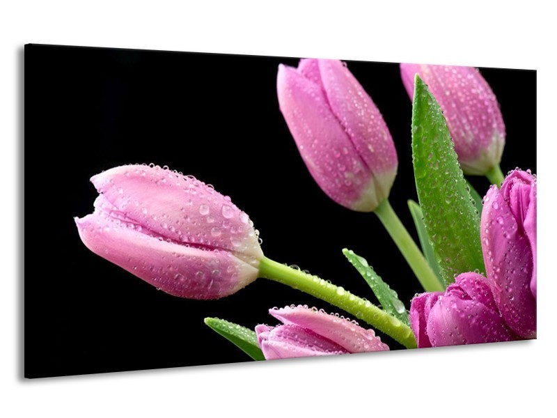 Canvas schilderij Tulpen | Roze, Zwart, Groen | 190x100cm 1Luik