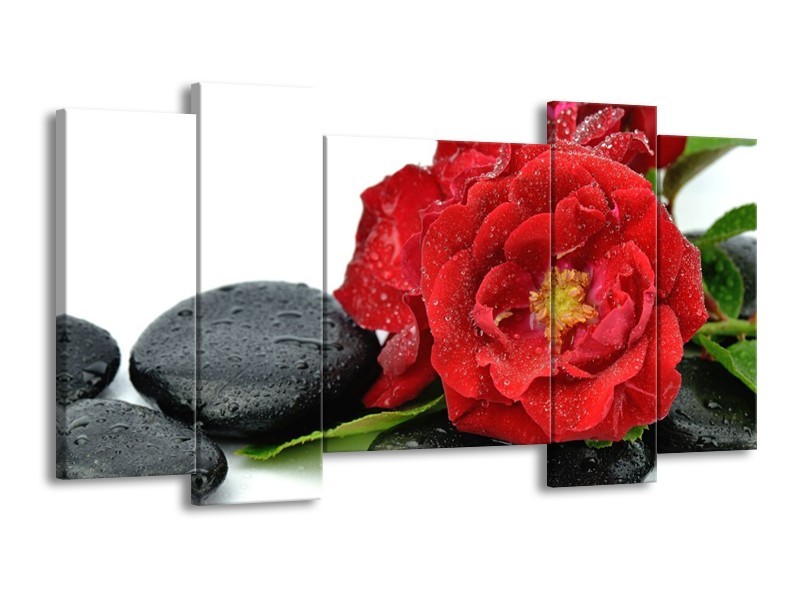 Canvas schilderij Roos | Rood, Zwart, Wit | 120x65 5Luik
